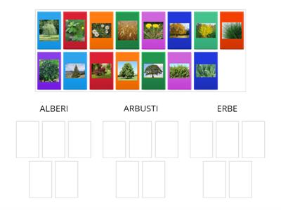 ALBERI, ARBUSTI, ERBE