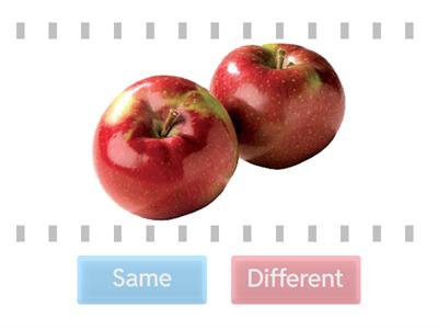 Core Vocabulary: Same or Different?