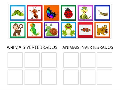 ANIMAIS VERTEBRADOS E INVERTEBRADOS