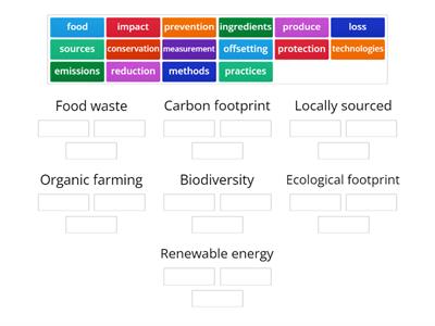 Sustainability Practices