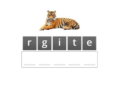 Kids Box 1 Unit 7 wild animals