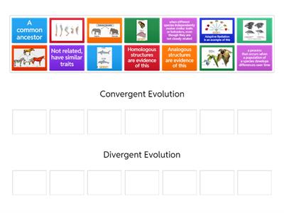 Convergent Vs Divergent Evolution