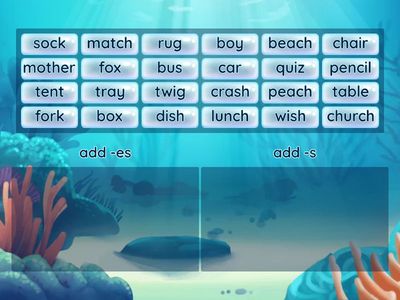 15_Plural Add S or ES 