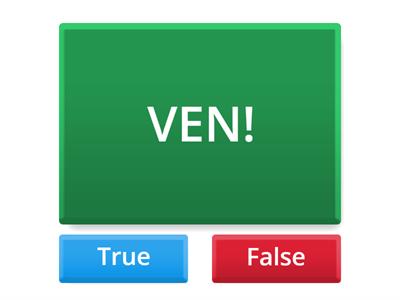 Correct or not? Tu commands! 