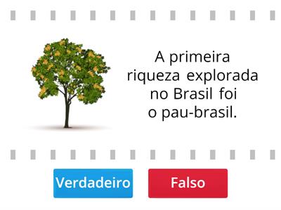 Verdadeiro ou Falso- História do Brasil