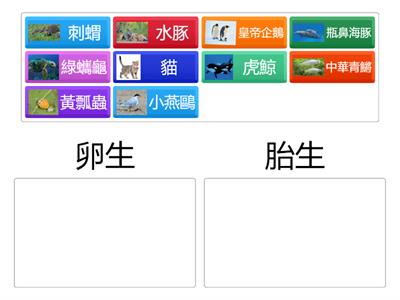 CH4-3_卵生與胎生