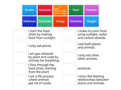 The Food Chain. Grade 5