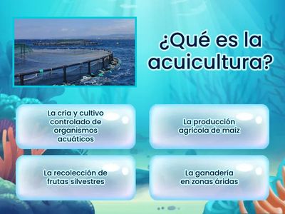 Verdadero o Falso- Acuicultura 