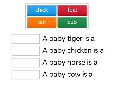 A baby...... is a........