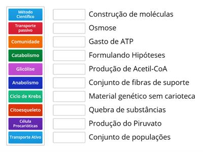 Revisão de Biologia 