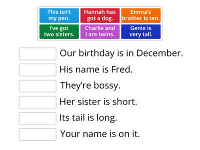 Possessives (Steps Plus 4, U6) 