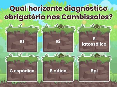 Exercício de Fixação - Neossolos e Cambissolos 