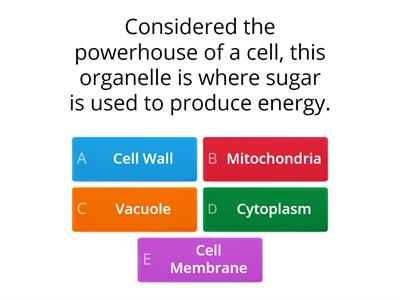  Cell Organelles: Balloon drop