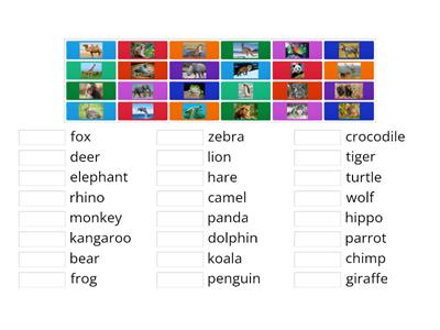 Rainbow English 3 Unit 7 Wild Animals