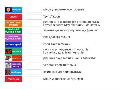 Кров і лімфа