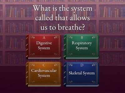 Respiratory and Cardiovascular System Mini Quiz
