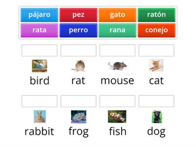 Spanish Pets Matching Game
