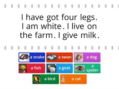 Animal Riddles