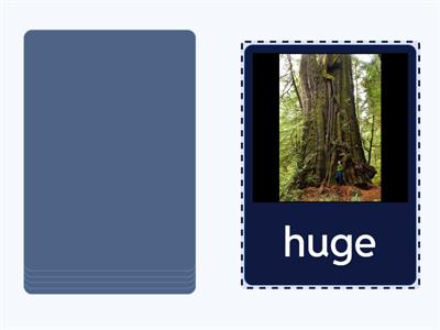 Beehive 3 Unit 4 adjectives