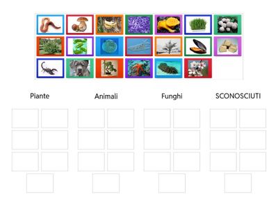  I 5 regni dei viventi