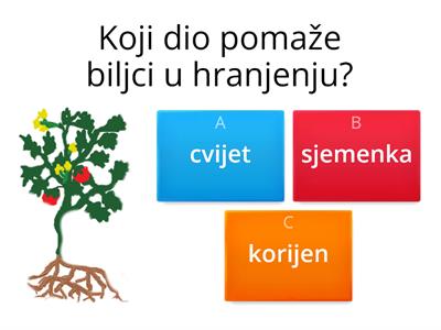 Biljke i životinje – ponovimo