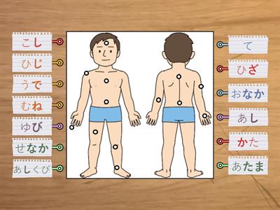 第１６課・体の言葉