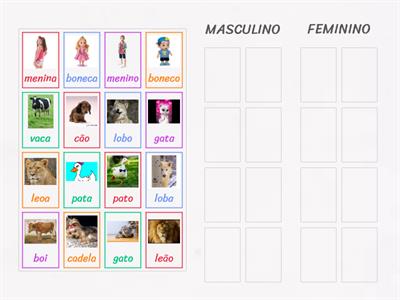  Masculino e Feminino