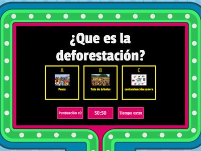 Trivia sobre deforestación 