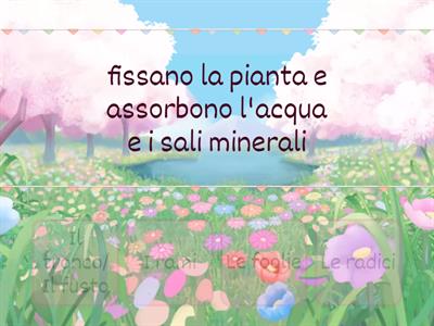 scienze classe prima