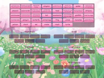 Animal Classification sort