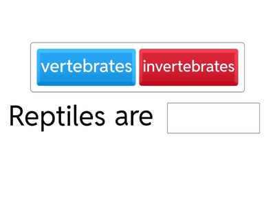 Reptiles