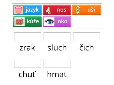 Každý smysl má svůj orgán