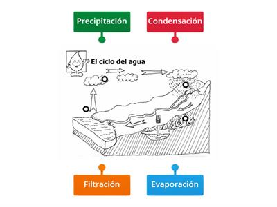 El ciclo del agua