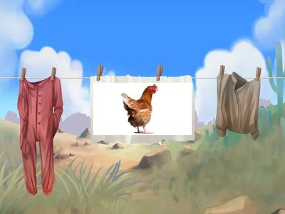 English Class A1+ unit 2 WATCH AND MEMORIZE