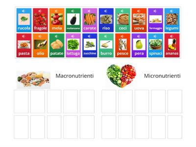 Alla scoperta dei MACRONUTRIENTI e MICRONUTRIENTI