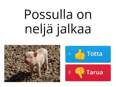 Ulvilan varhaiskasvatus - Totta vai tarua?