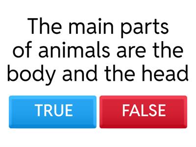 Body parts of Animals and their functions
