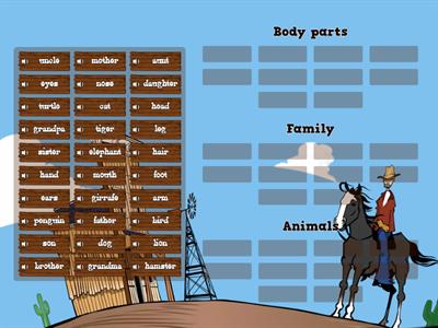 Categorizing 4th grade