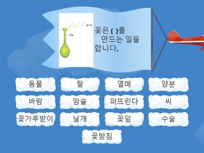 4.식물의 구조와 기능(꽃과 열매 편)