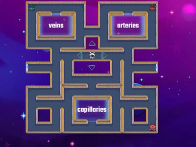 Circulatory System Maze Chase