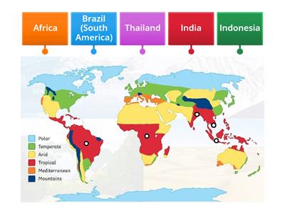 Tropical Climate