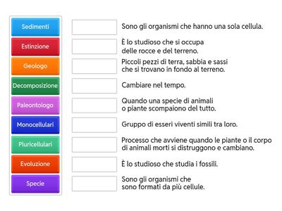 LE PAROLE CHIAVE. DAGLI STUDIOSI DELLA STORIA ALL' EVOLUZIONE DELLA SPECIE 🌱Classe terza