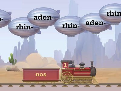 Řecké slovní kořeny