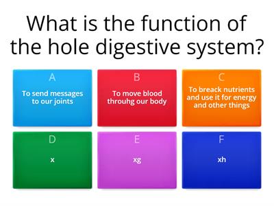 Digestive System