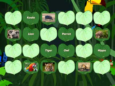 Wild Animals Matching pairs