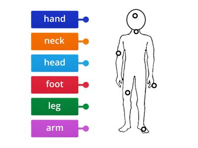 parts of the body