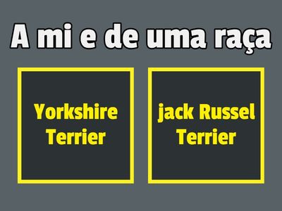 O que que os cães comem?