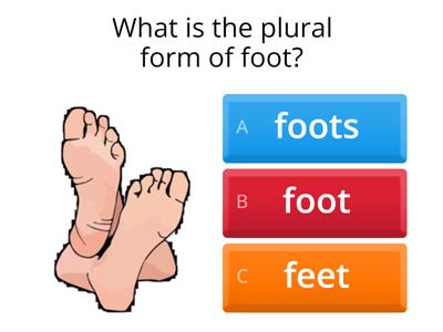 Regular and Irregular Plurals