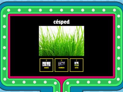 EL CONCURSO DE LAS PALABRAS COMPUESTAS