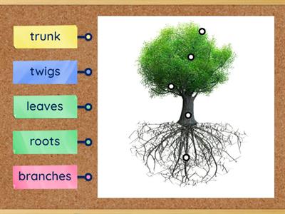 TLC: Can I label parts of a tree?